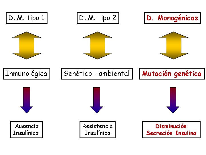 D. M. tipo 1 D. M. tipo 2 D. Monogénicas Inmunológica Genético - ambiental