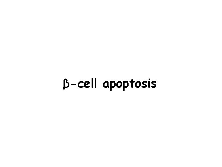 GCK-V 91 L CTRL EGFP β-cell apoptosis 