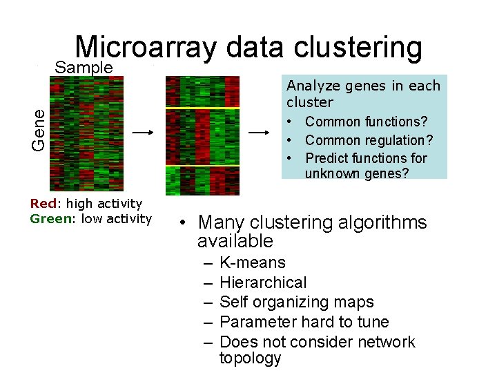Microarray data clustering Sample Gene Analyze genes in each cluster • Common functions? •