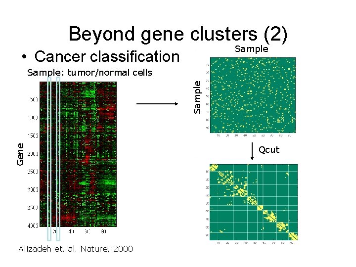 Beyond gene clusters (2) Sample • Cancer classification Gene Sample: tumor/normal cells Alizadeh et.
