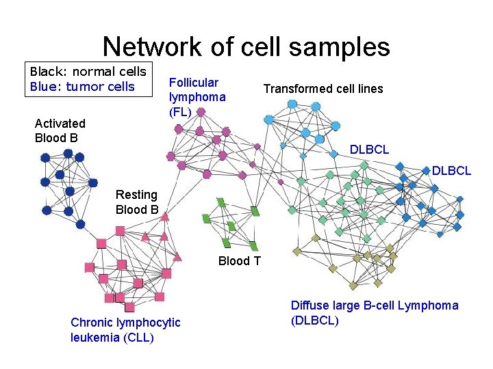 Network of cell samples Black: normal cells Blue: tumor cells Activated Blood B Follicular