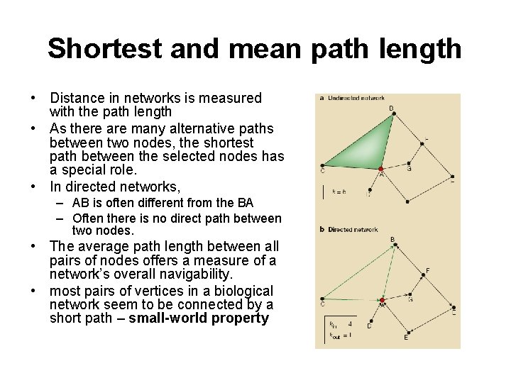 Shortest and mean path length • Distance in networks is measured with the path