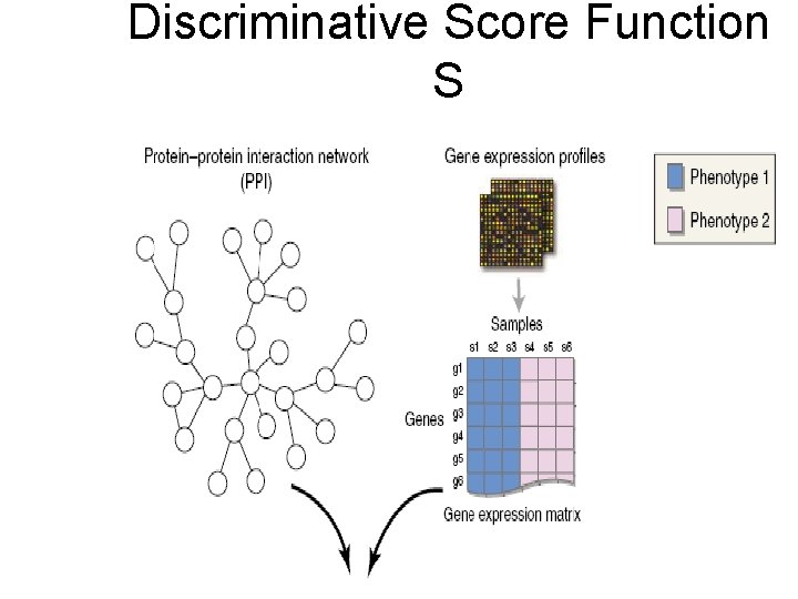 Discriminative Score Function S 