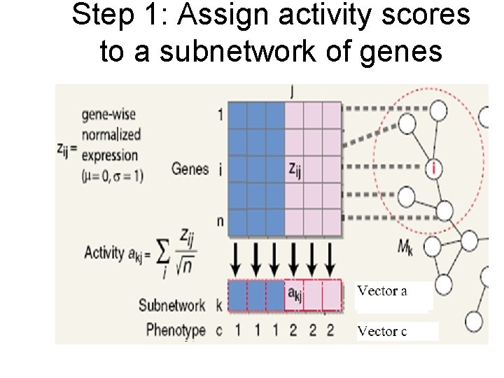 Step 1: Assign activity scores to a subnetwork of genes 