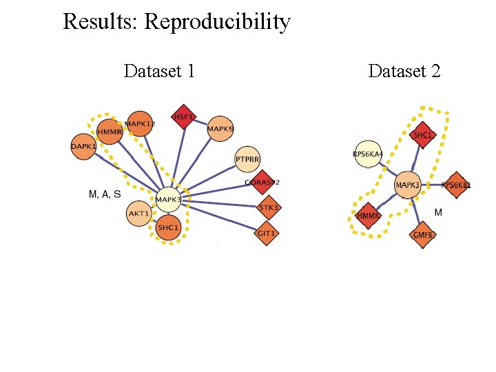 Results: Reproducibility Dataset 1 Dataset 2 