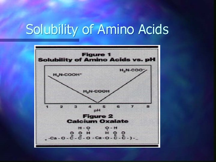 Solubility of Amino Acids 