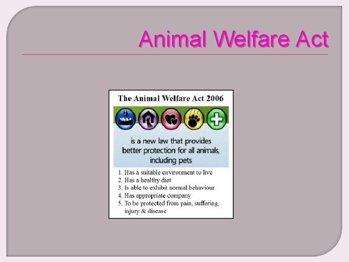 Animal Welfare Act 