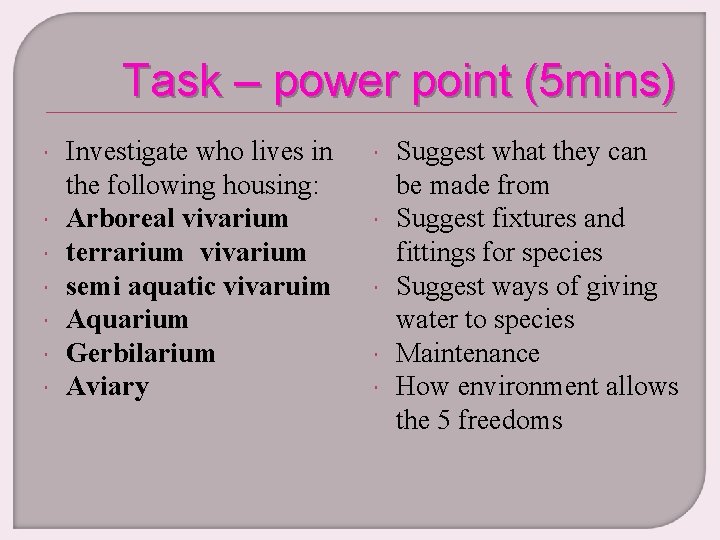 Task – power point (5 mins) Investigate who lives in the following housing: Arboreal