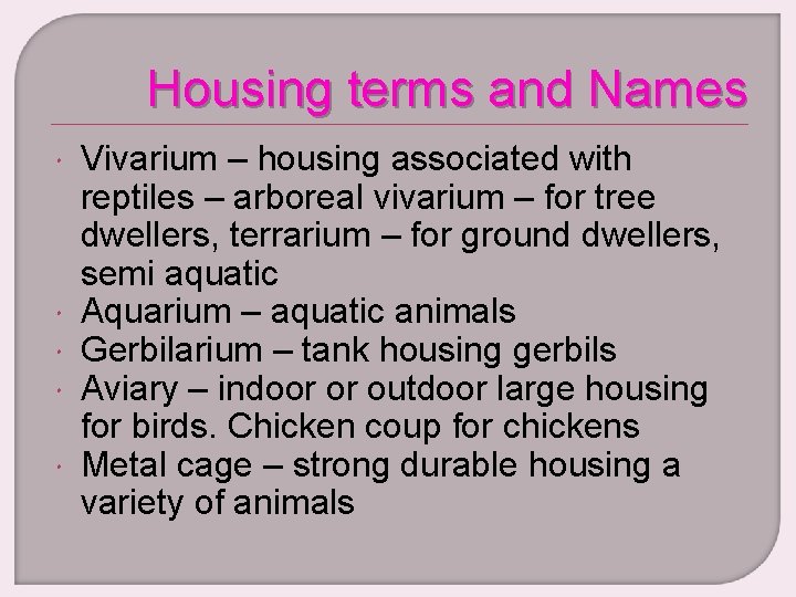 Housing terms and Names Vivarium – housing associated with reptiles – arboreal vivarium –