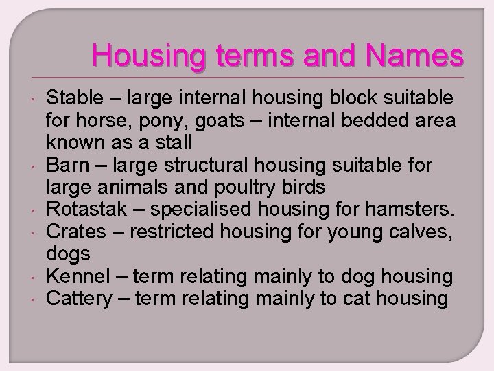 Housing terms and Names Stable – large internal housing block suitable for horse, pony,