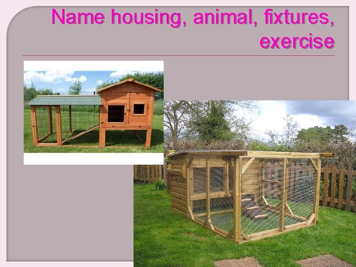 Name housing, animal, fixtures, exercise 
