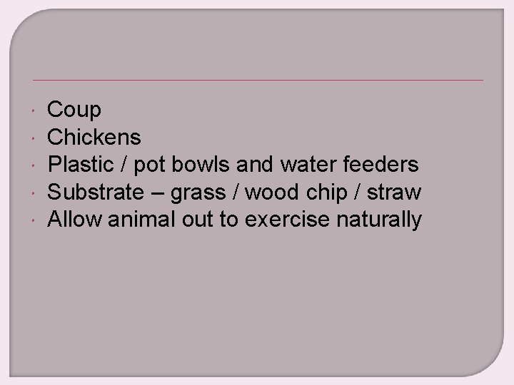  Coup Chickens Plastic / pot bowls and water feeders Substrate – grass /