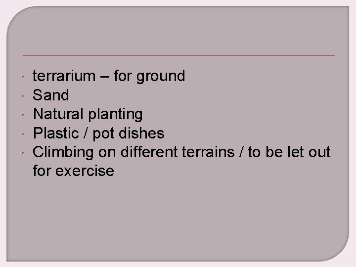  terrarium – for ground Sand Natural planting Plastic / pot dishes Climbing on