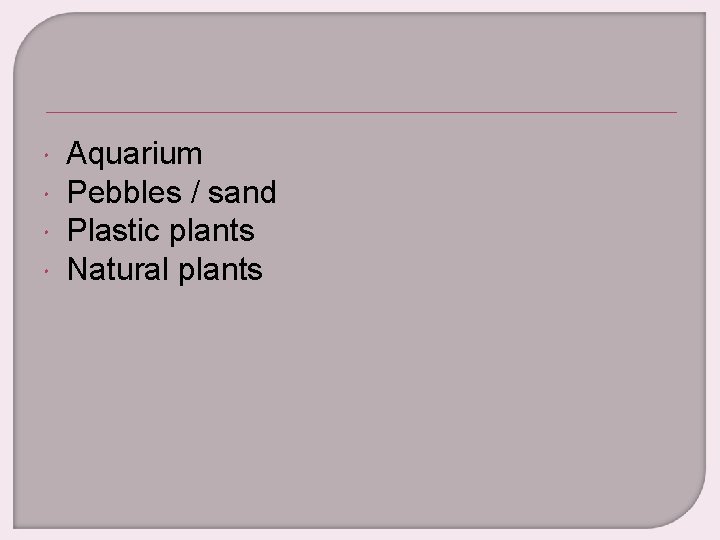  Aquarium Pebbles / sand Plastic plants Natural plants 