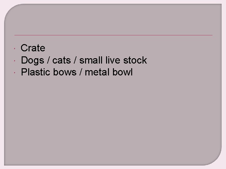  Crate Dogs / cats / small live stock Plastic bows / metal bowl