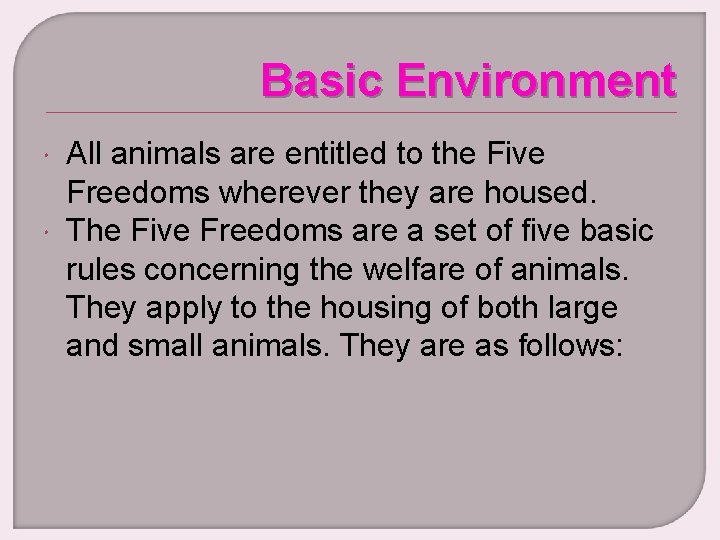 Basic Environment All animals are entitled to the Five Freedoms wherever they are housed.