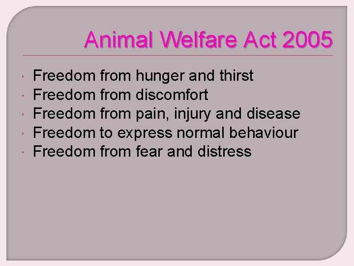 Animal Welfare Act 2005 Freedom from hunger and thirst Freedom from discomfort Freedom from