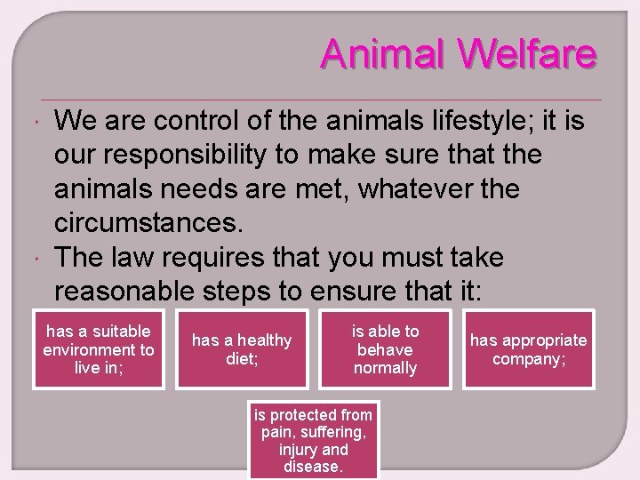 Animal Welfare We are control of the animals lifestyle; it is our responsibility to