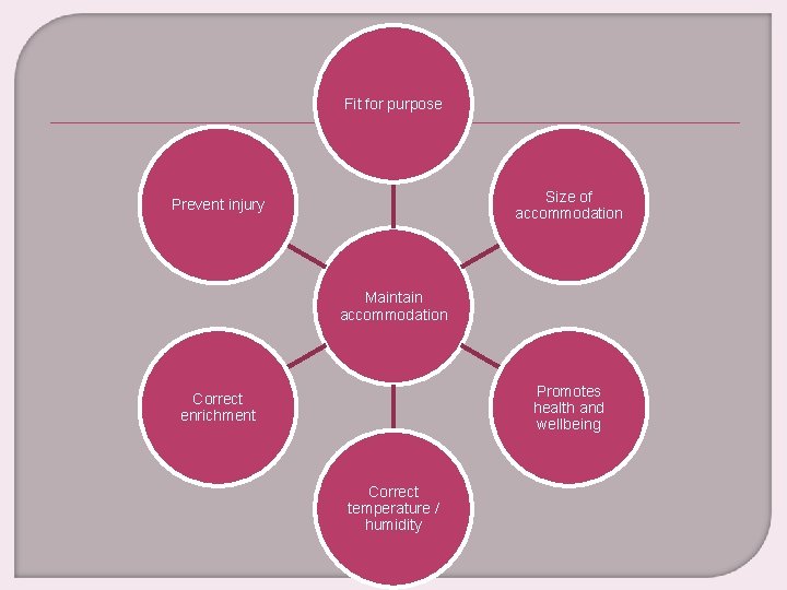 Fit for purpose Size of accommodation Prevent injury Maintain accommodation Promotes health and wellbeing