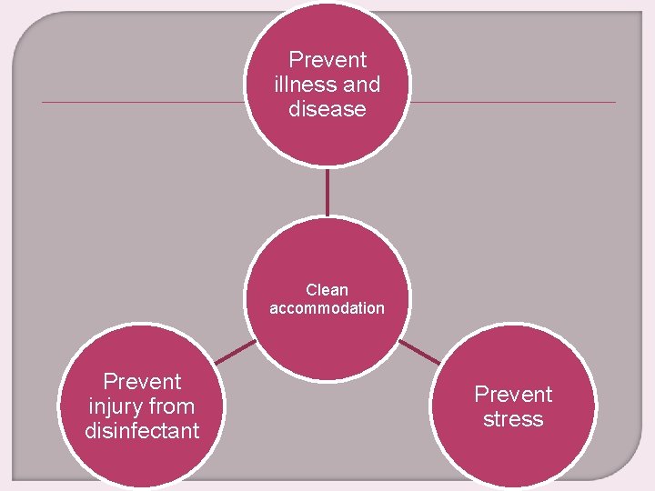 Prevent illness and disease Clean accommodation Prevent injury from disinfectant Prevent stress 