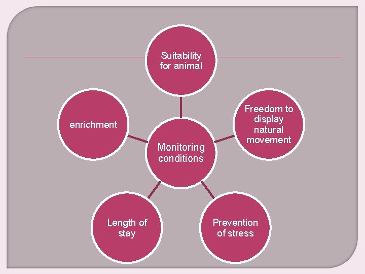 Suitability for animal enrichment Monitoring conditions Length of stay Freedom to display natural movement