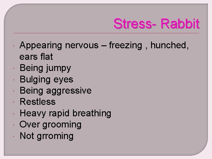Stress- Rabbit Appearing nervous – freezing , hunched, ears flat Being jumpy Bulging eyes