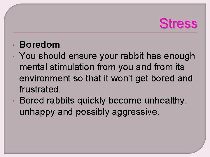 Stress Boredom You should ensure your rabbit has enough mental stimulation from you and