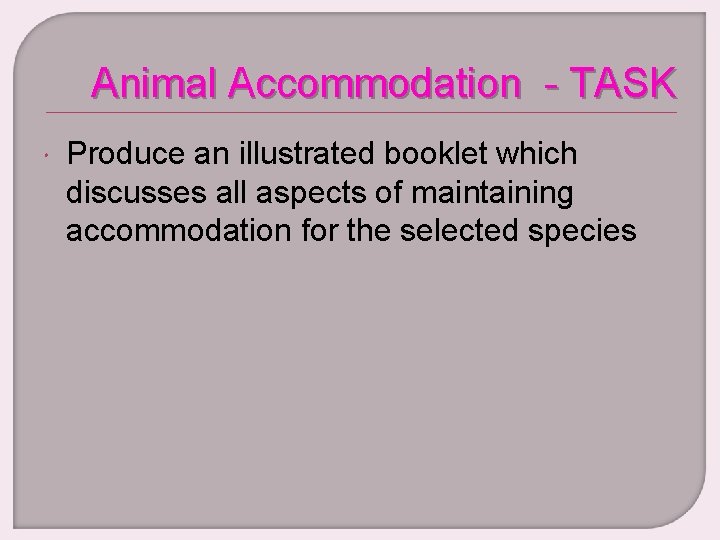 Animal Accommodation - TASK Produce an illustrated booklet which discusses all aspects of maintaining