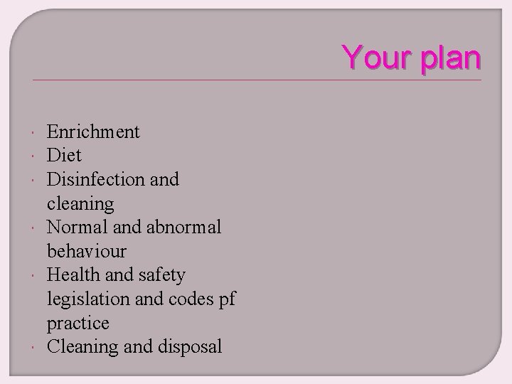 Your plan Enrichment Diet Disinfection and cleaning Normal and abnormal behaviour Health and safety