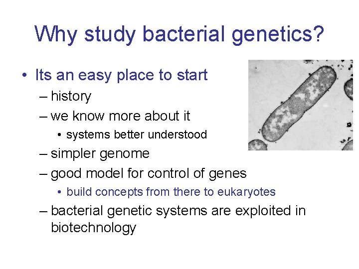 Why study bacterial genetics? • Its an easy place to start – history –