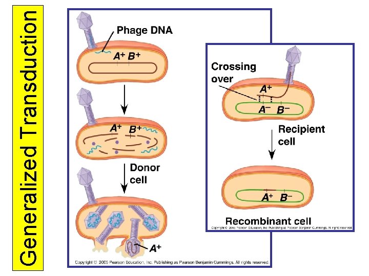 Generalized Transduction 