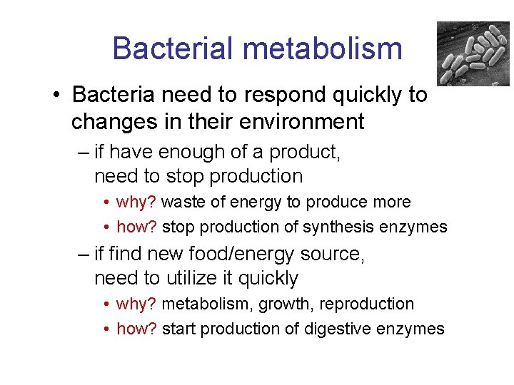 Bacterial metabolism • Bacteria need to respond quickly to changes in their environment –