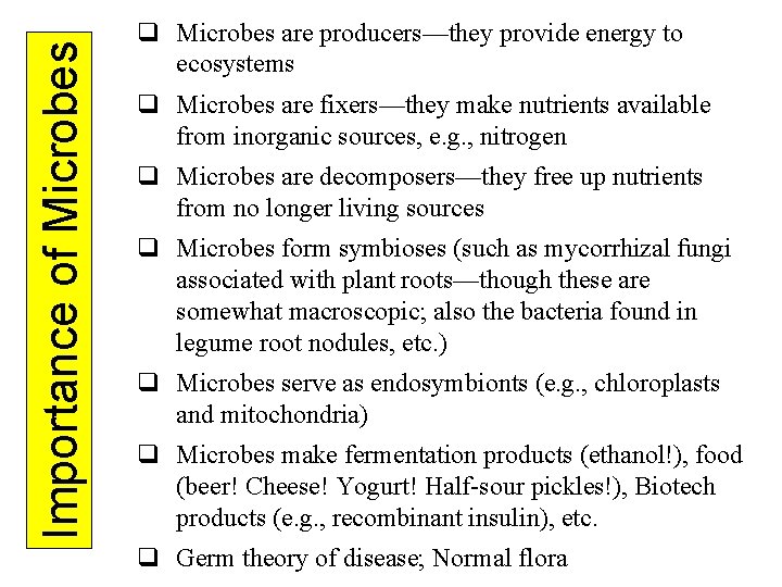 Importance of Microbes q Microbes are producers—they provide energy to ecosystems q Microbes are