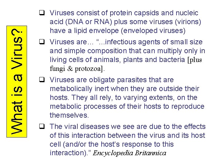 What is a Virus? q Viruses consist of protein capsids and nucleic acid (DNA