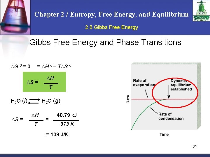 CHAPTER TWO 18 Entropy Free Energy and Equilibrium