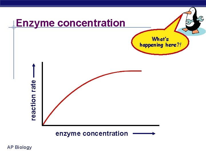 Enzyme concentration reaction rate What’s happening here? ! enzyme concentration AP Biology 