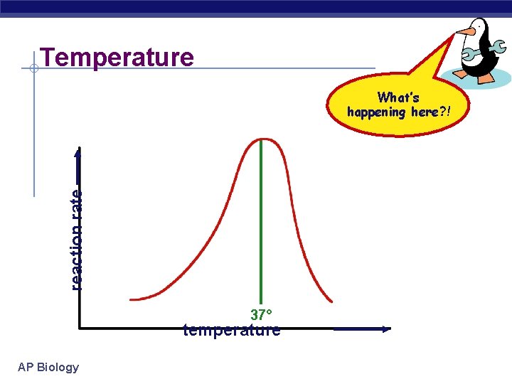 Temperature reaction rate What’s happening here? ! 37° temperature AP Biology 