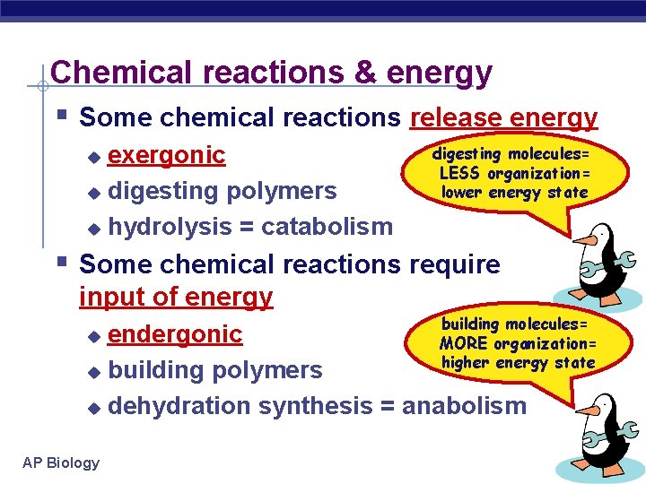 Chemical reactions & energy § Some chemical reactions release energy exergonic u digesting polymers