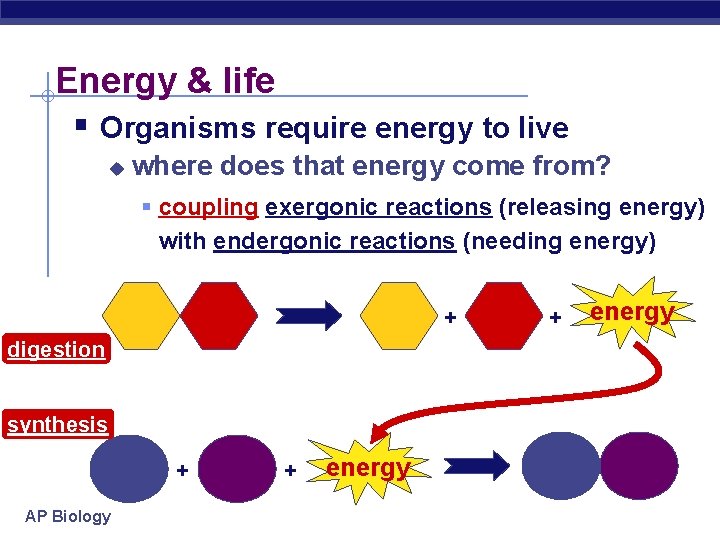 Energy & life § Organisms require energy to live u where does that energy
