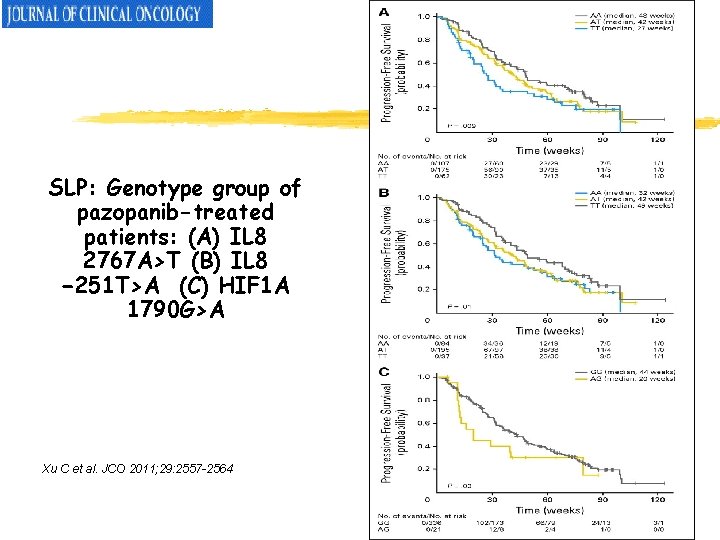 SLP: Genotype group of pazopanib-treated patients: (A) IL 8 2767 A>T (B) IL 8