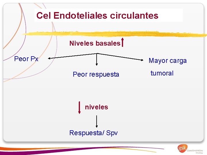 Cel Endoteliales circulantes Niveles basales Peor Px Mayor carga Peor respuesta niveles Respuesta/ Spv
