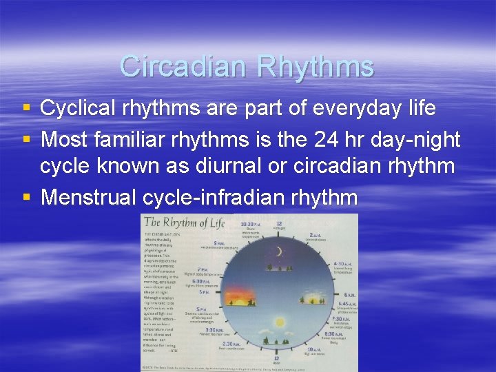 Circadian Rhythms § Cyclical rhythms are part of everyday life § Most familiar rhythms