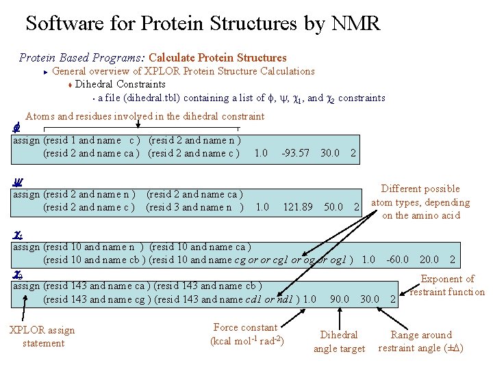 Software for Protein Structures by NMR Protein Based Programs: Calculate Protein Structures General overview