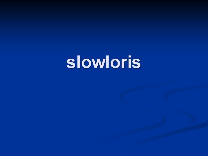 slowloris 