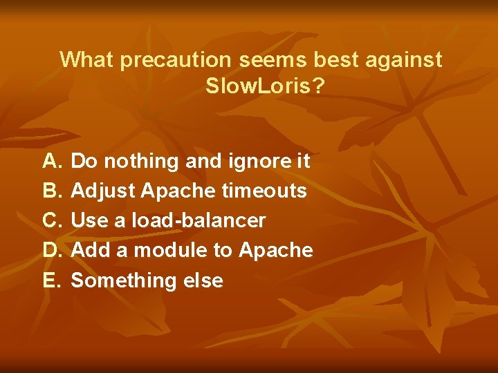 What precaution seems best against Slow. Loris? A. B. C. D. E. Do nothing