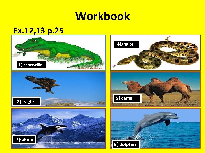 Workbook Ex. 12, 13 p. 25 4)snake 1) crocodile 2) eagle 3)whale 5) camel