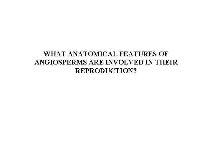 WHAT ANATOMICAL FEATURES OF ANGIOSPERMS ARE INVOLVED IN THEIR REPRODUCTION? 