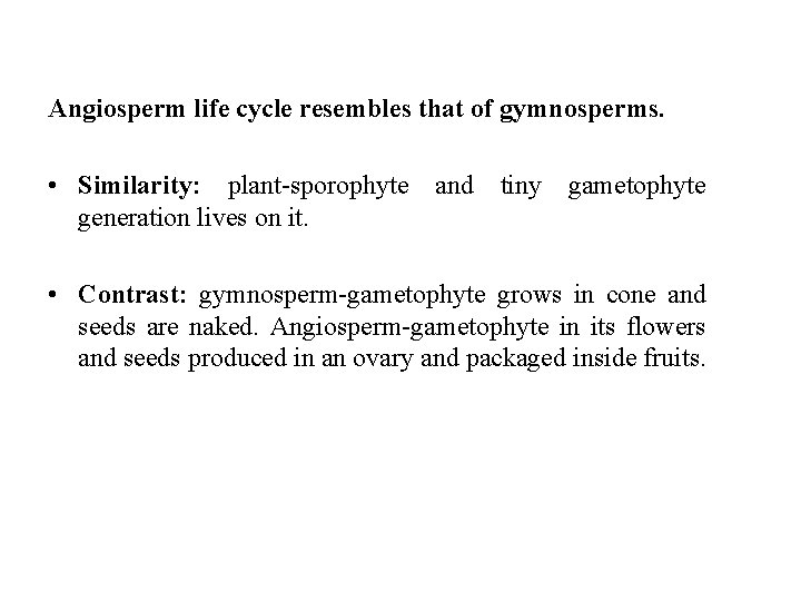 Angiosperm life cycle resembles that of gymnosperms. • Similarity: plant-sporophyte and tiny gametophyte generation