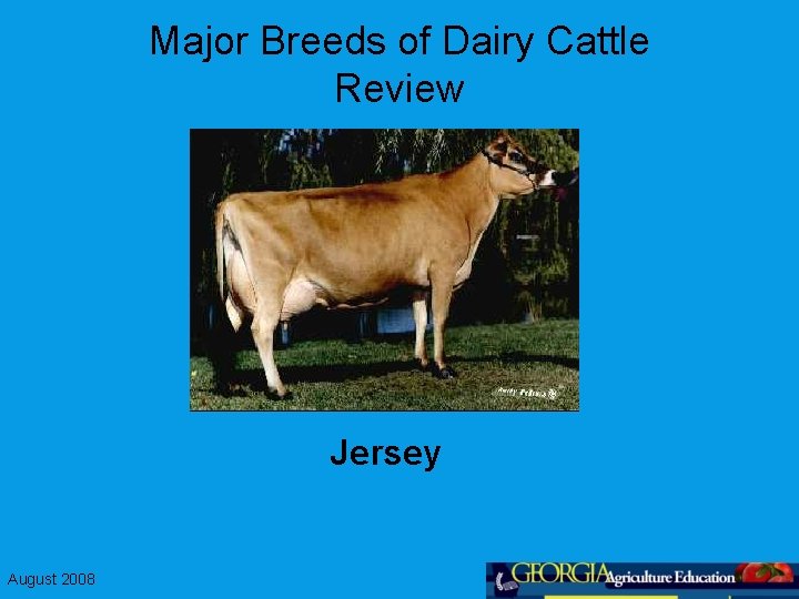 Major Breeds of Dairy Cattle Review Jersey August 2008 