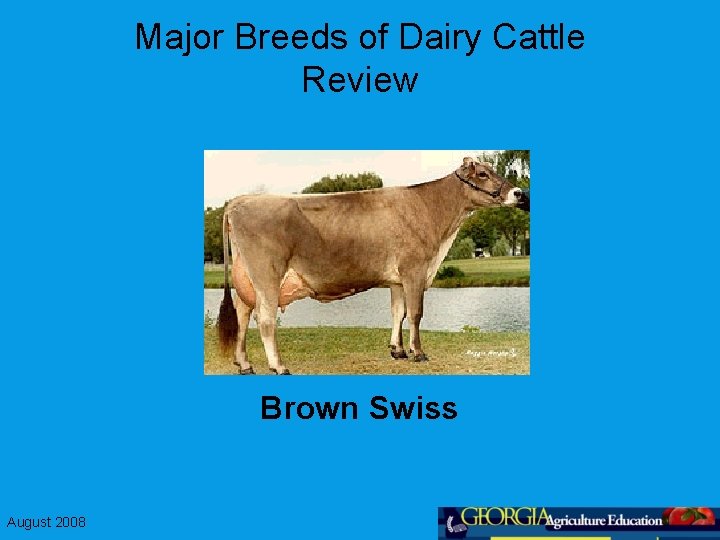 Major Breeds of Dairy Cattle Review Brown Swiss August 2008 